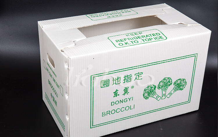 Brocolli box-2